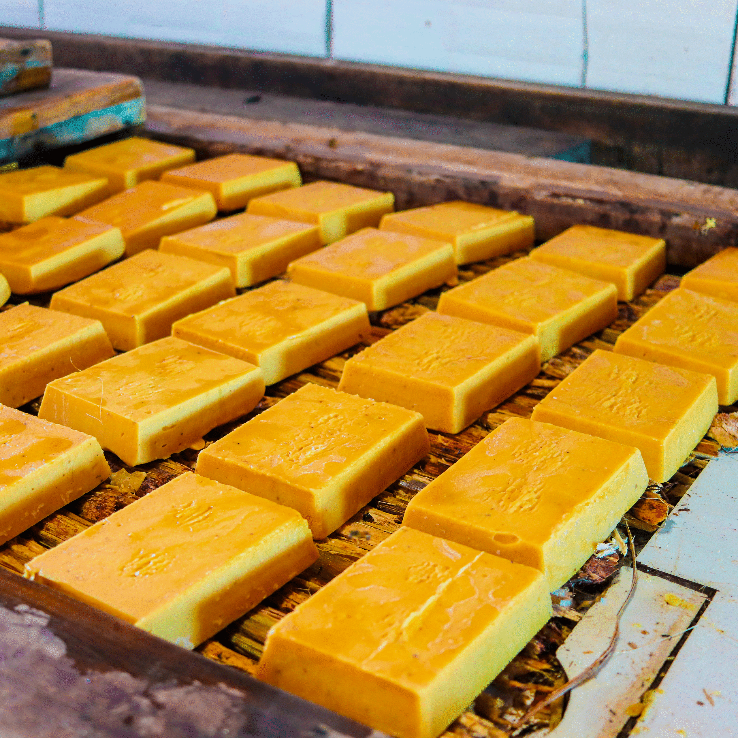 rota-dos-engenhos-11